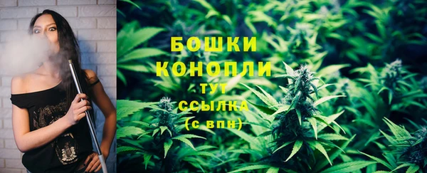 дживик Киреевск