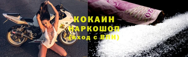 крисы Карпинск
