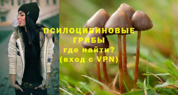 крисы Карпинск